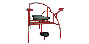 Dome Bondage Chair